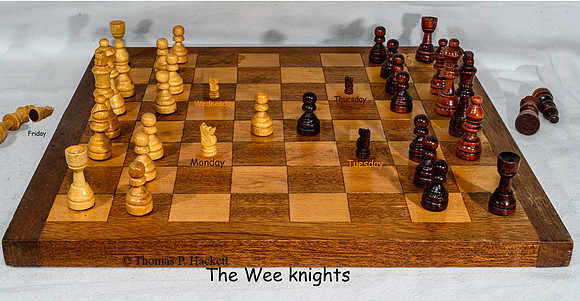 The wee knights_THC3104