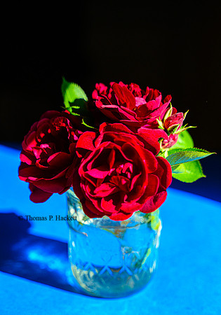 Roses