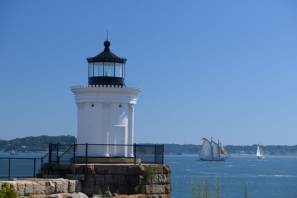 Bug Light
