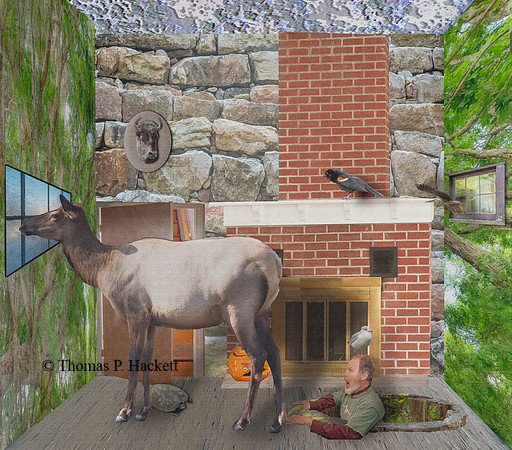 Tree House_TH93774