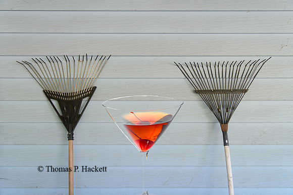 Tools for yard work--and its aftermath