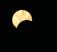 Partial eclipse and tree branches